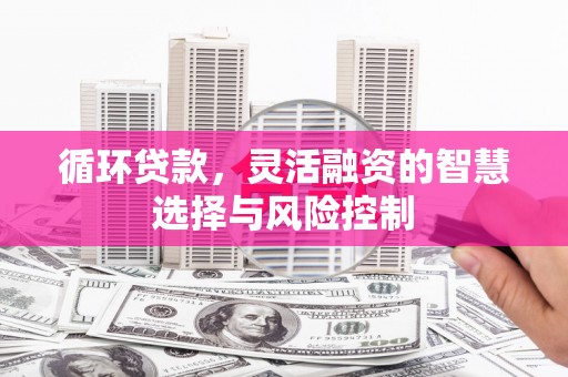 西岗循环贷款，灵活融资的智慧选择与风险控制