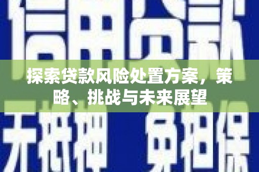 西岗探索贷款风险处置方案，策略、挑战与未来展望