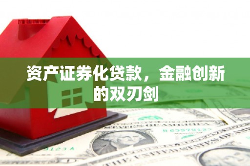 西岗资产证券化贷款，金融创新的双刃剑