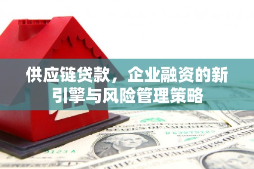 西岗供应链贷款，企业融资的新引擎与风险管理策略