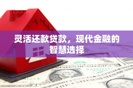 西岗灵活还款贷款，现代金融的智慧选择