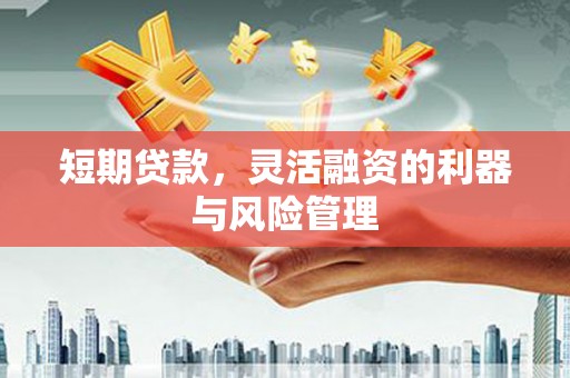 西岗短期贷款，灵活融资的利器与风险管理