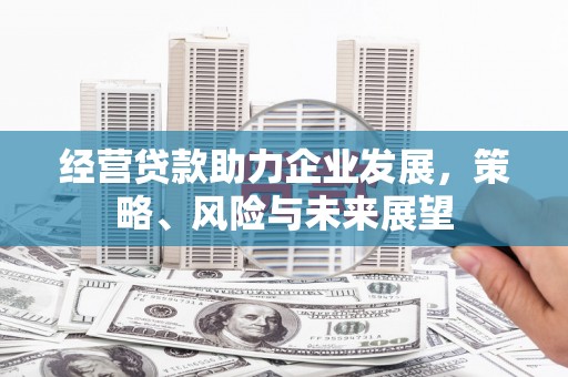 西岗经营贷款助力企业发展，策略、风险与未来展望