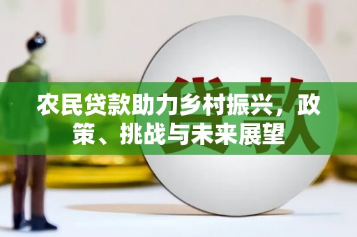 西岗农民贷款助力乡村振兴，政策、挑战与未来展望