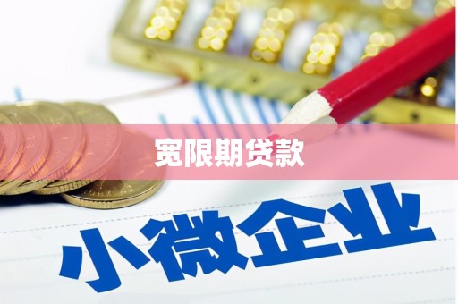 西岗宽限期贷款