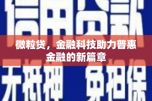 西岗微粒贷，金融科技助力普惠金融的新篇章
