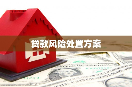 西岗贷款风险处置方案
