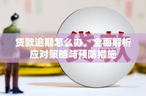 西岗贷款逾期怎么办，全面解析应对策略与预防措施