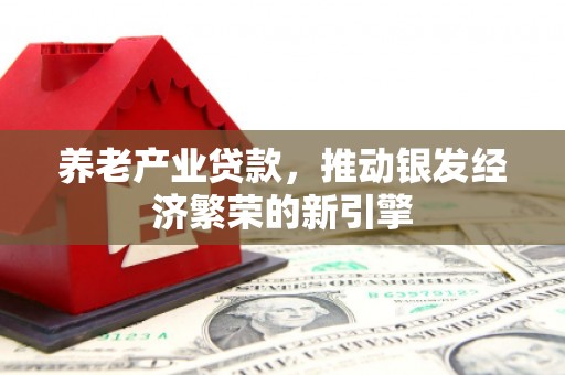 西岗养老产业贷款，推动银发经济繁荣的新引擎