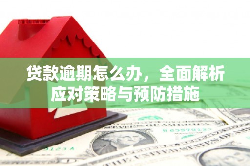 西岗贷款逾期怎么办，全面解析应对策略与预防措施