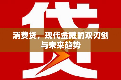 西岗消费贷，现代金融的双刃剑与未来趋势