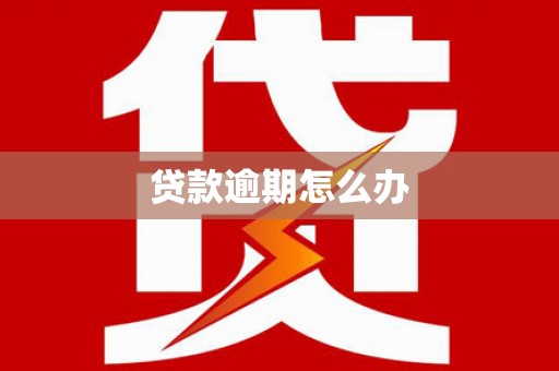 西岗贷款逾期怎么办