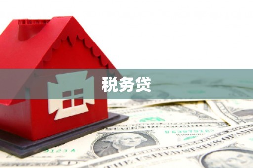 西岗税务贷