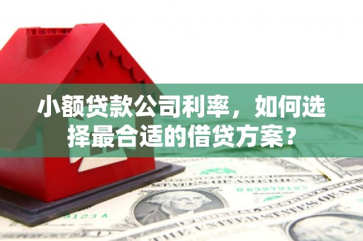 西岗小额贷款公司利率，如何选择最合适的借贷方案？