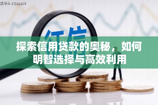 西岗探索信用贷款的奥秘，如何明智选择与高效利用