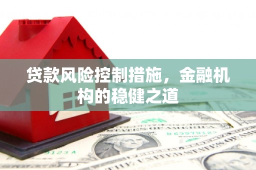 西岗贷款风险控制措施，金融机构的稳健之道