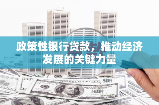 西岗政策性银行贷款，推动经济发展的关键力量