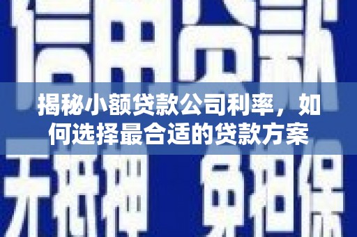 西岗揭秘小额贷款公司利率，如何选择最合适的贷款方案