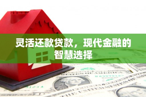 西岗灵活还款贷款，现代金融的智慧选择
