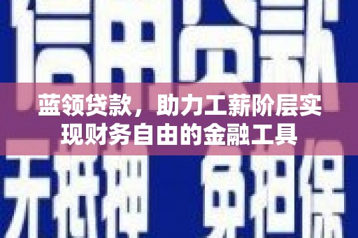 西岗蓝领贷款，助力工薪阶层实现财务自由的金融工具