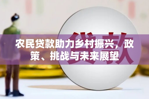 西岗农民贷款助力乡村振兴，政策、挑战与未来展望