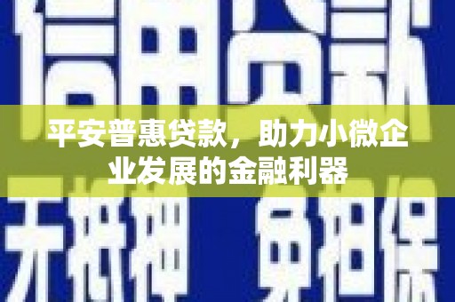 西岗平安普惠贷款，助力小微企业发展的金融利器