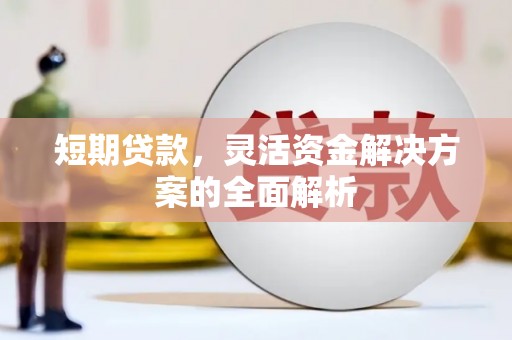 西岗短期贷款，灵活资金解决方案的全面解析