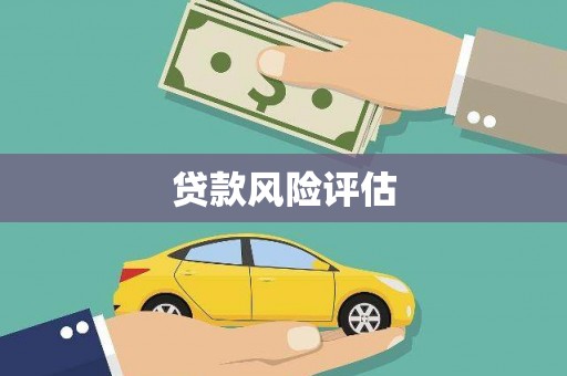 西岗贷款风险评估