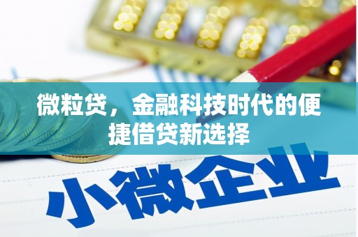 西岗微粒贷，金融科技时代的便捷借贷新选择