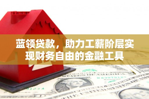 西岗蓝领贷款，助力工薪阶层实现财务自由的金融工具