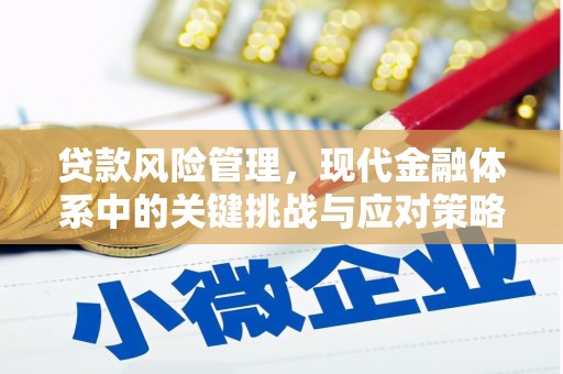 西岗贷款风险管理，现代金融体系中的关键挑战与应对策略