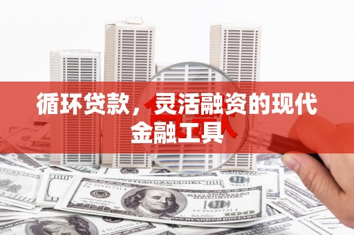 西岗循环贷款，灵活融资的现代金融工具