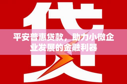 西岗平安普惠贷款，助力小微企业发展的金融利器