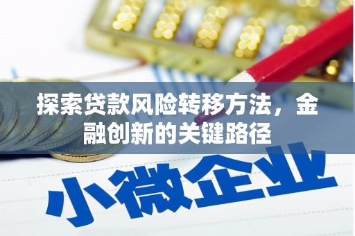 西岗探索贷款风险转移方法，金融创新的关键路径
