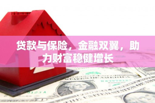 西岗贷款与保险，金融双翼，助力财富稳健增长