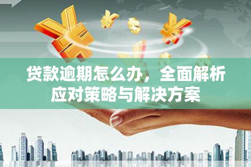 西岗贷款逾期怎么办，全面解析应对策略与解决方案