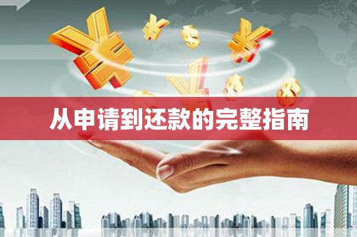 西岗从申请到还款的完整指南