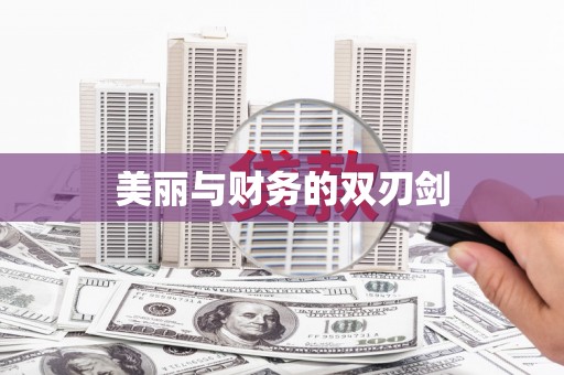 西岗美丽与财务的双刃剑