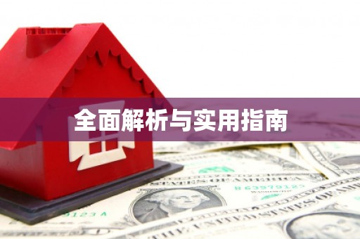 西岗全面解析与实用指南