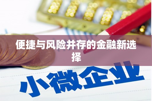 西岗便捷与风险并存的金融新选择