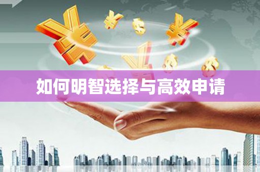 西岗如何明智选择与高效申请