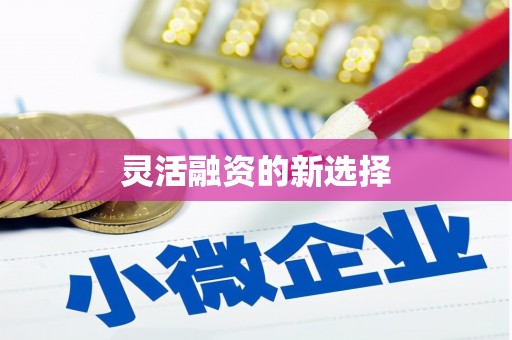 西岗灵活融资的新选择