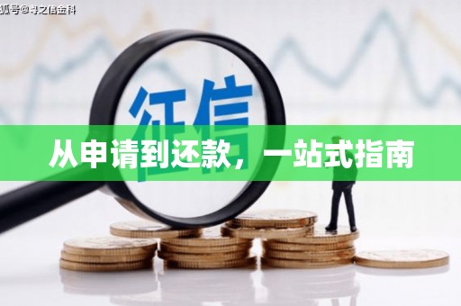 西岗从申请到还款，一站式指南