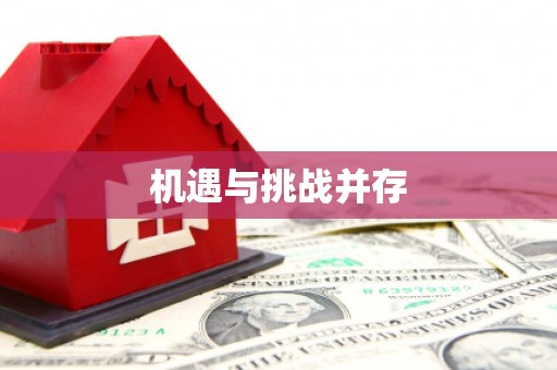 西岗机遇与挑战并存