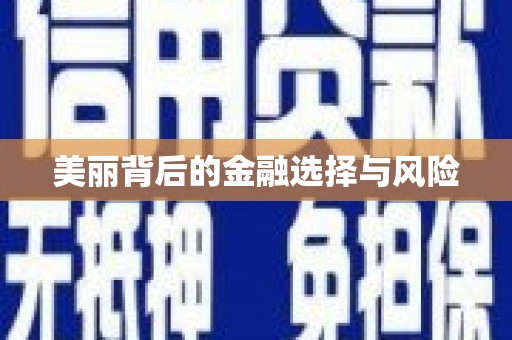 西岗美丽背后的金融选择与风险