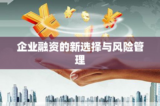 西岗企业融资的新选择与风险管理