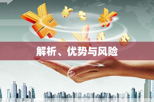 西岗解析、优势与风险
