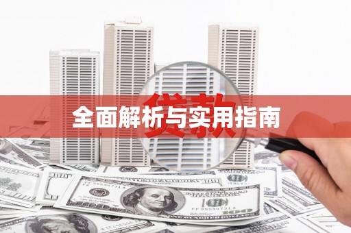 西岗全面解析与实用指南