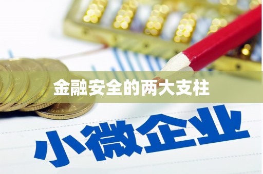 西岗金融安全的两大支柱