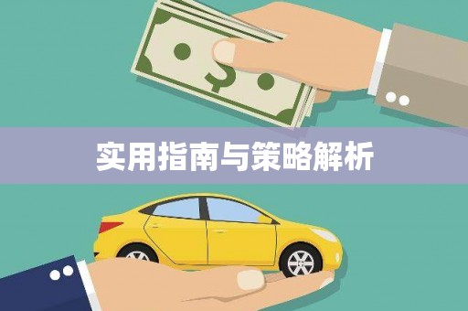 西岗实用指南与策略解析